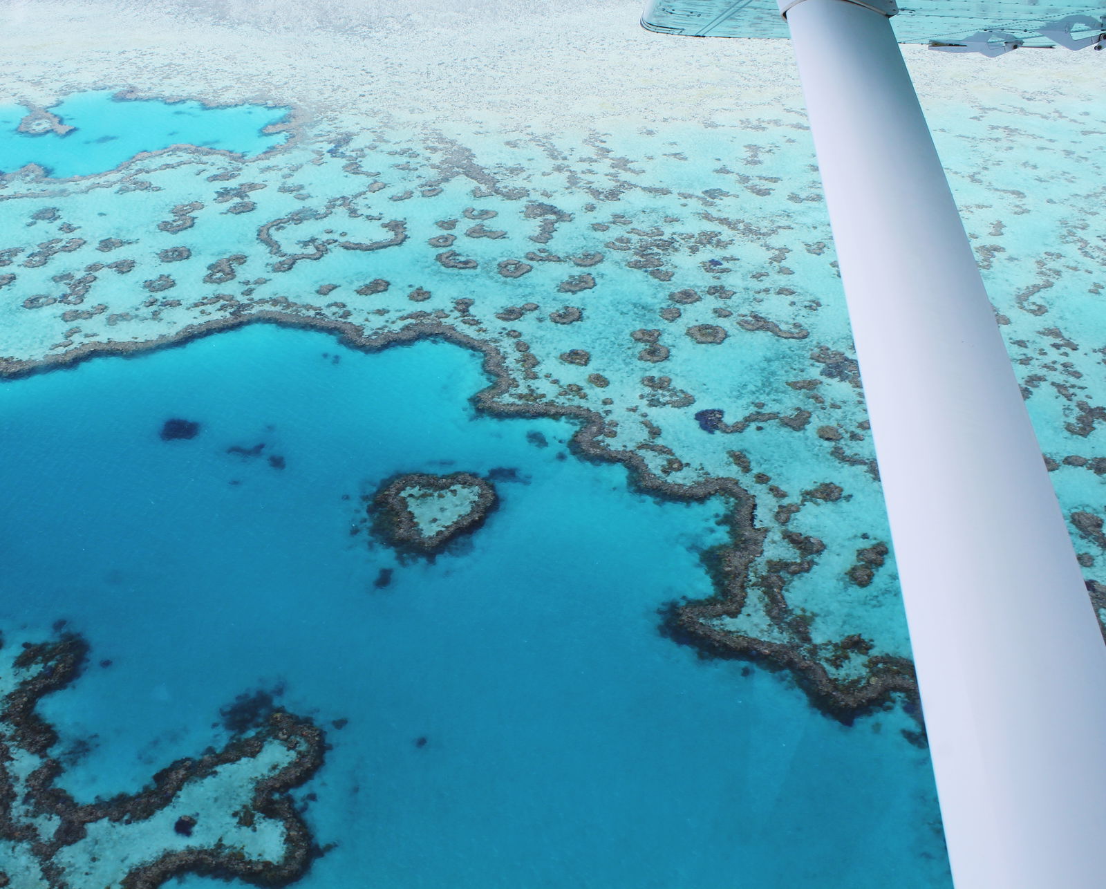 Great Barrier Reef scenic flights